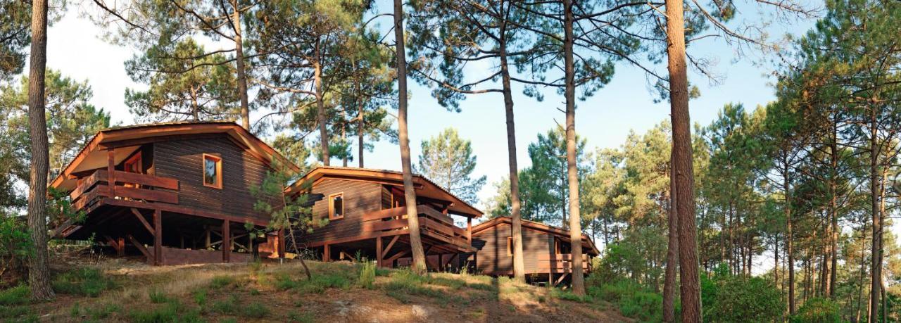 Residence Les Sentes Каркан Экстерьер фото