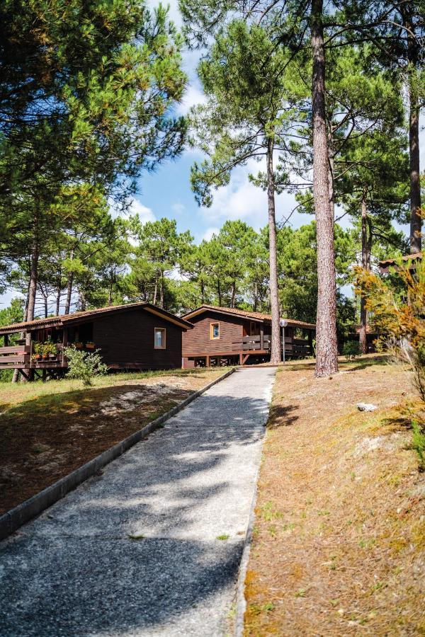 Residence Les Sentes Каркан Экстерьер фото